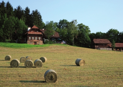 8272_Gaisrieglhof_Schlosshotel_Obermayerhofen