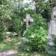 1030_St. Marxer Friedhof