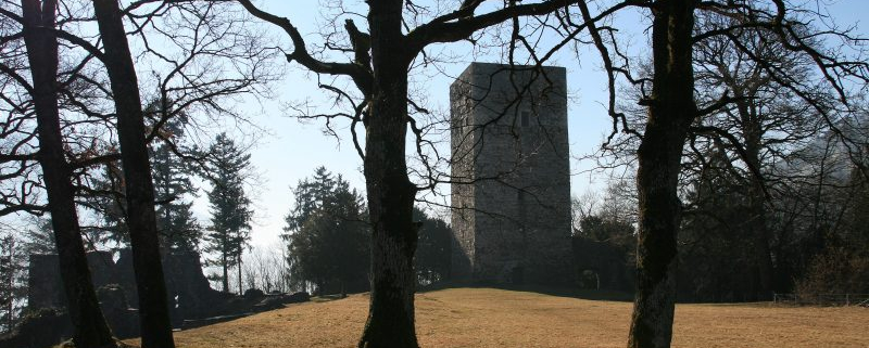 Burg Tosters