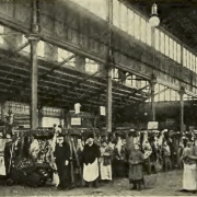 Zentralmarkthalle Wien 1905