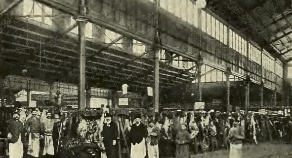 Zentralmarkthalle Wien 1905