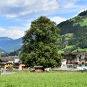 Kulturplatz "Drei Linden", Schwendau, Tirol