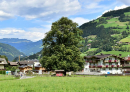 Kulturplatz "Drei Linden", Schwendau, Tirol