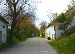 Kellergasse in Stoitzendorf (NÖ)