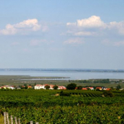 Neusiedler See, Burgenland