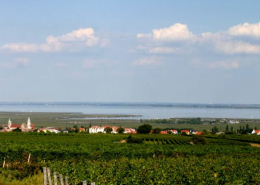 Neusiedler See, Burgenland