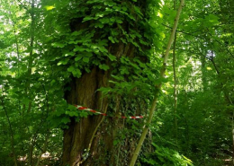 Schlosspark Jormannsdorf
