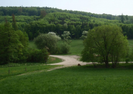 Eichgraben