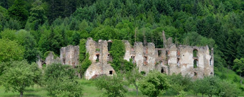 Schlossruine Niederperwarth