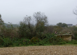 Der einstmalige Knaushof in Fehring, Foto: Oktober 2014, (c) Robert Heilinger, CC BY-SA 3.0, Wikipedia